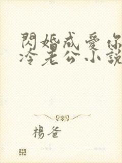 闪婚成爱你好高冷老公小说