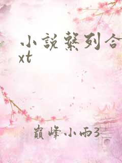 小说系列合集txt