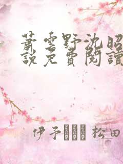 萧云野沈昭宁小说免费阅读最新章节