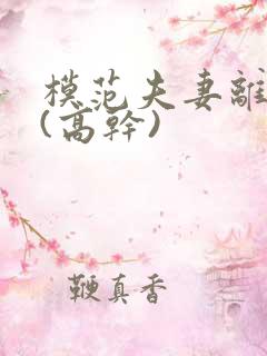 模范夫妻离婚了(高干)