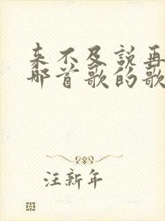 来不及说再见是哪首歌的歌词