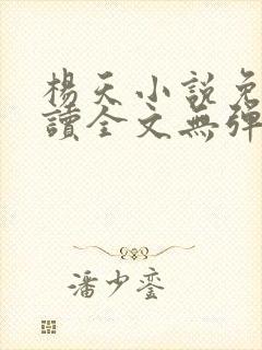 杨天小说免费阅读全文无弹窗