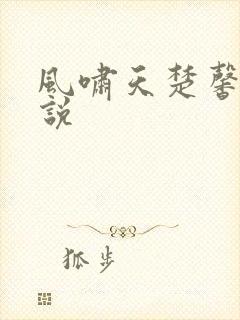 风啸天楚馨月小说