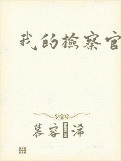 我的检察官先生