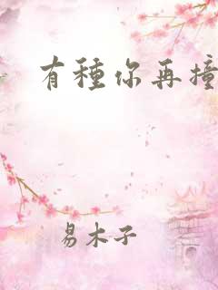 有种你再撞一下