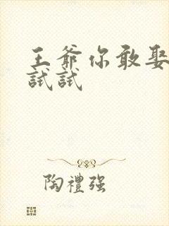 王爷你敢娶小三试试