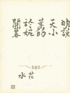 关于叶天明与江暮婉的小说