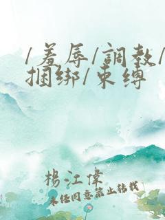 /羞辱/调教/捆绑/束缚