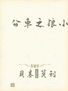 公车之狼小说