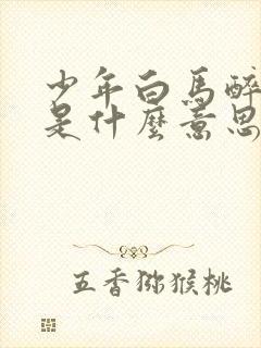 少年白马醉春风是什么意思