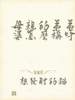 母亲的弟弟的老婆怎么称呼