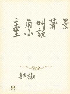 主角叫萧晨的重生小说