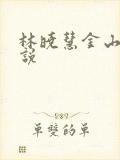 林晓慧金山的小说