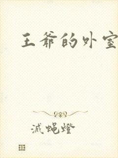 王爷的外室