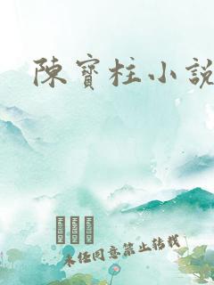 陈宝柱小说