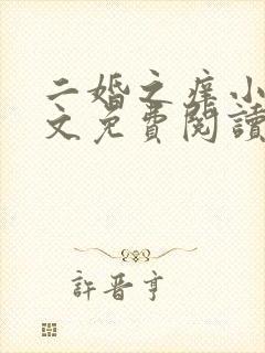 二婚之痒小说全文免费阅读