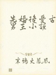 先婚后爱古耽双男主小说