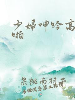 少妇呻吟高潮啪啪