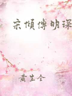 宋倾傅明琛小说