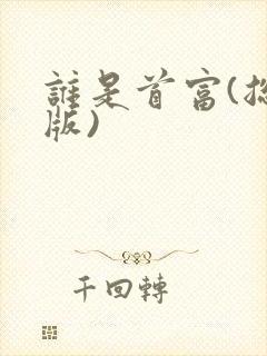 谁是首富(总裁版)