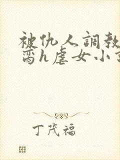 被仇人调教成禁脔h虐女小说