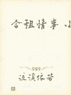 合租情事 小说