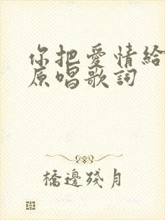 你把爱情给了谁原唱歌词