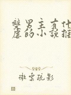 双男主有什么很虐的小说推荐