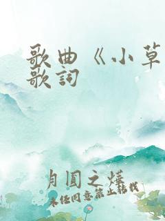 歌曲《小草》的歌词