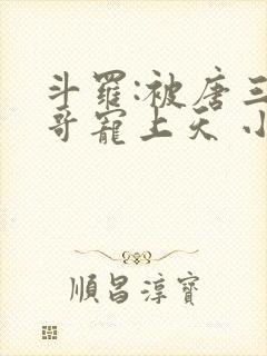 斗罗:被唐三哥哥宠上天 小说完整