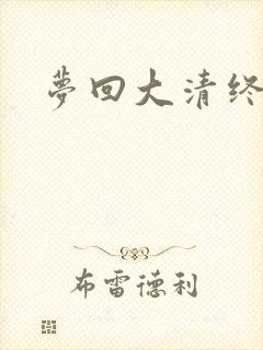 梦回大清终结篇