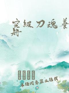 究级刀魂养成手册