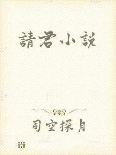 请君小说