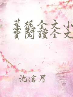 叶枫全文小说免费阅读全文