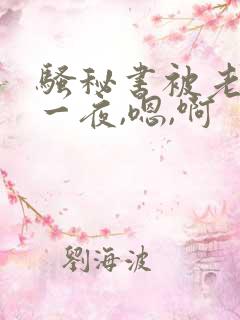 骚秘书被老板操一夜,嗯,啊