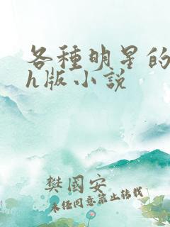 各种明星的综艺h版小说