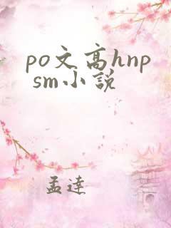 po文高hnp sm小说
