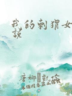 我的刺猬女孩小说