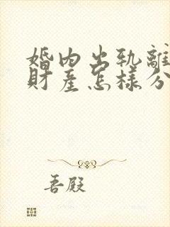 婚内出轨离婚后财产怎样分割