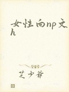 女性向np文高h