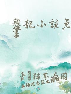 盘龙小说免费听书