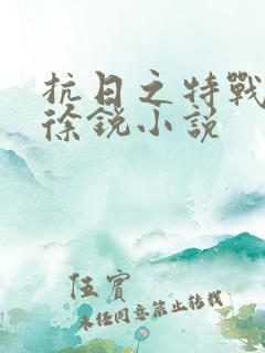 抗日之特战兵王徐锐小说