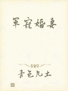 军宠婚妻