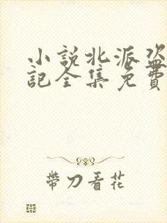 小说北派盗墓笔记全集免费阅读