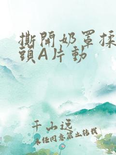 撕开奶罩揉吮奶头A片动