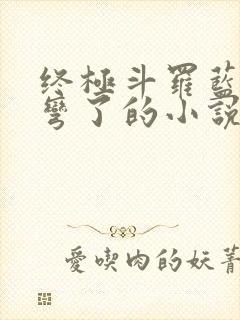 终极斗罗蓝轩宇弯了的小说