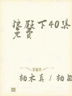 狼殿下40集全免费