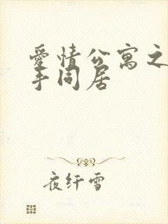 爱情公寓之与杀手同居