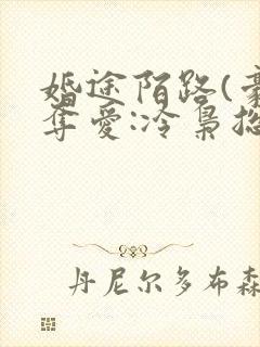 婚途陌路(豪门夺爱:冷枭总裁替代妻)