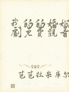 我的的婚姻电视剧免费观看全集高清